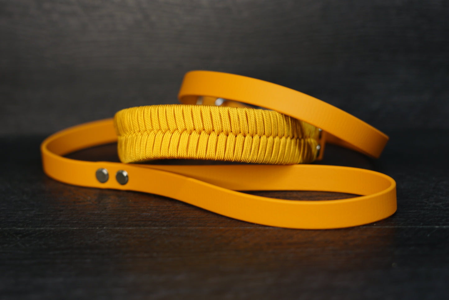 Retrieverleine Fishtail