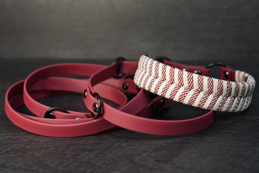 Retrieverleine Fishtail