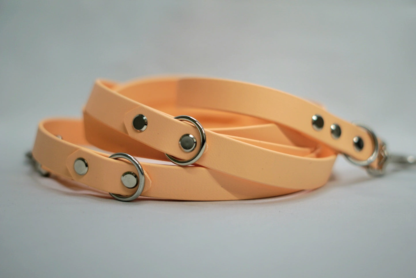 Biothane Leine 19mm
