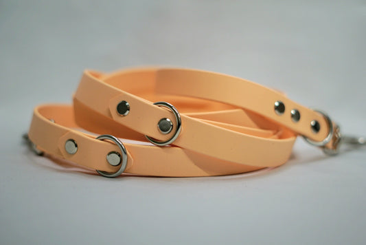 Biothane Leine 19mm