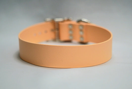 Biothane Halsband 38mm